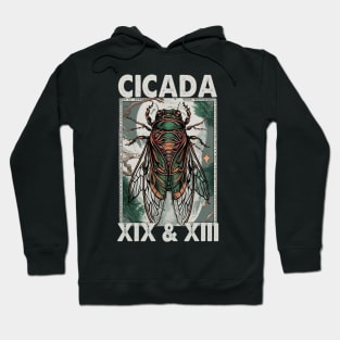 Cicada Invasion 2024 tarot card brood  XIX & XIII Hoodie